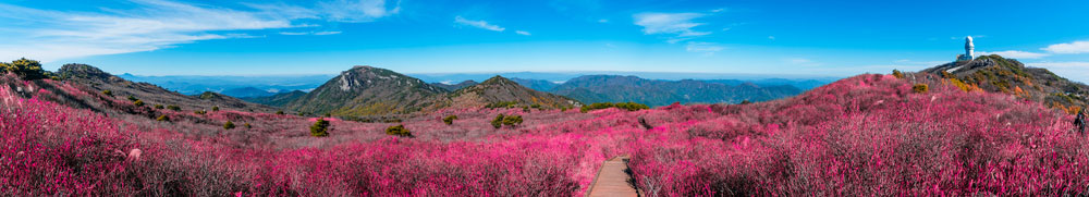 South Korea